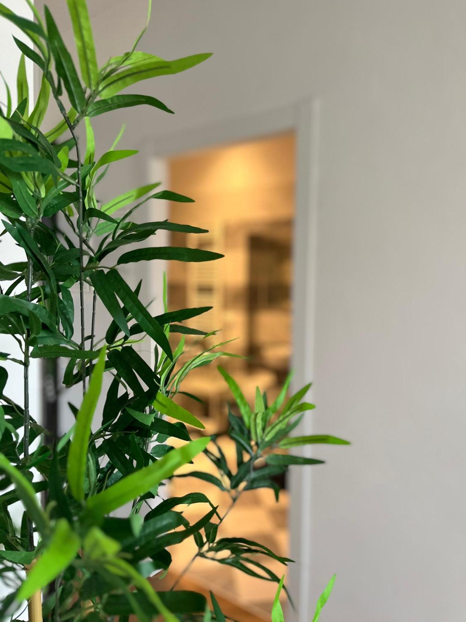 Sonnino House Apartment ปิซา ภายนอก รูปภาพ